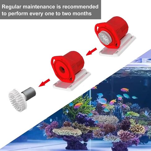Bubble Magus Nano Curve 2 Protein Skimmers Ultimate Filtration with Space-Saving Design, Efficient DC Pump Durable Graphite Shaft and Flexible Flow Rate for Optimal Water Quality and Quiet Operation in Saudi Arabia