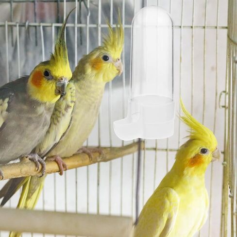 ganazono 2pcs الطيور شارب البلاستيك إبريق المياه زجاجة ماء الحيوانات الأليفة علبة بلاستيكية واضحة الببغاء موزع المياه الطيور تغذية المياه لقفص الطيور التلقائي إمدادات الطيور حالة الغذاء تغذية الطيور in Saudi Arabia