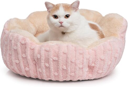 Hollypet Calming Cat Beds for Indoor Cats - Cute Cactus Pet Beds, Fluffy Puppy Bed, Non-Slip Extra Small Dog Bed, Pink in Kuwait