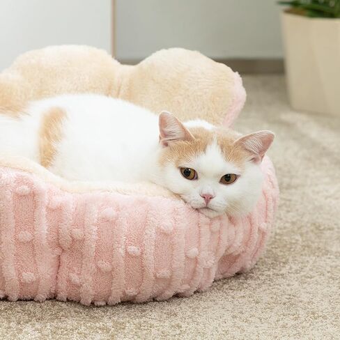 Hollypet Calming Cat Beds for Indoor Cats - Cute Cactus Pet Beds, Fluffy Puppy Bed, Non-Slip Extra Small Dog Bed, Pink in Kuwait