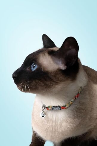 Adjustable Printed Cat Collar (Flowers) in Saudi Arabia
