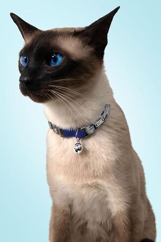 Adjustable Printed Cat Collar (Flowers) in Saudi Arabia
