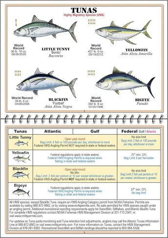 Florida Saltwater Fish Identification Book with FWC Rules, Regulations, Limits, and Sizes with 90+ Marine and Shark Photographs, Waterproof Fishing Guide, Angler and Fishermen Booklet in Saudi Arabia