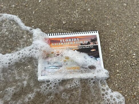 Florida Saltwater Fish Identification Book with FWC Rules, Regulations, Limits, and Sizes with 90+ Marine and Shark Photographs, Waterproof Fishing Guide, Angler and Fishermen Booklet in Saudi Arabia