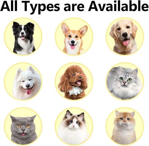 DAKERES Pet Supplies Cat brush for shedding - cat grooming brush, deshedding cat brush paired with self- cleaning cat litter box, essential for cats for Long matted Haired Pets,Orange in Kuwait