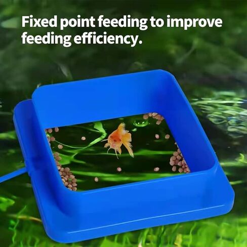 Aquarium Feeding Ring Set XUANHEY 5pcs Fish Feeding Betta Feeding Ring Aquarium Floating Fish Feeder for Fish Turtle (1 Square, 1 Round, 1 Movable Fish Shape and 2 Bloodworms Food Feeder) in Saudi Arabia