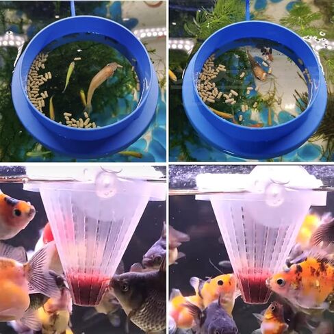 Aquarium Feeding Ring Set XUANHEY 5pcs Fish Feeding Betta Feeding Ring Aquarium Floating Fish Feeder for Fish Turtle (1 Square, 1 Round, 1 Movable Fish Shape and 2 Bloodworms Food Feeder) in Saudi Arabia