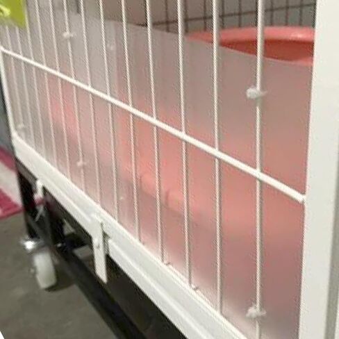 Alfie Pet - Charlie 6-Piece Set Urine Guard Clear Side Lining Habitat Siding Cage Edge Liners for Rabbit Guinea Pig in Kuwait