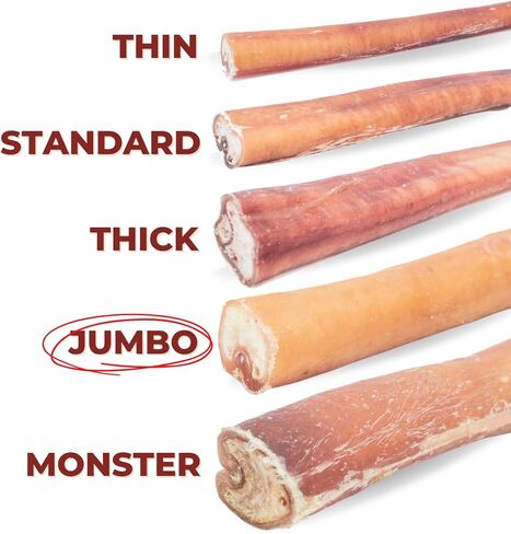 Bully Bunches Premium 12 Inch Jumbo Odor-Free Bully Sticks for Medium & Large Dogs - Long Lasting Chews for Oral Care - All Natural & Single Ingredient, 100% Beef Dog Treat, Rawhide Free (5 Pk) in Saudi Arabia