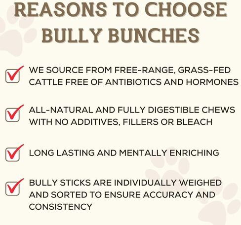 Bully Bunches 12 بوصة جامبو من الدرجة البشرية خالية من الروائح الكريهة للكلاب الكبيرة - عظام مضغ طويلة الأمد - جميع المكونات طبيعية وفردية، 100٪ علاج للكلاب من لحم البقر، بديل الجلود الخام (5 قطع) in Kuwait