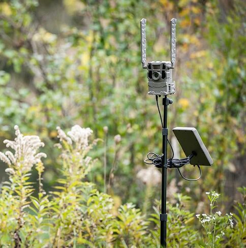 TACTACAM Reveal Adjustable Camera Stake with Solar Panel Mount, Fits All Outdoor Trail Cameras and Cellular Cameras with 1/4" 20 mounts in Kuwait