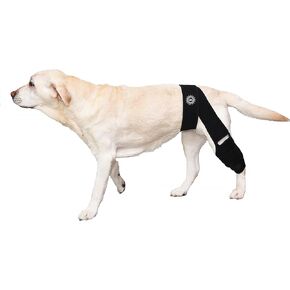 Large Breathable Dog Knee Brace for Torn ACL Legs - Easy to Use, Neoprene Dog Leg Braces for Back Leg - ACL Brace for Dogs, Helps Reduce Pain and Heal Injuries