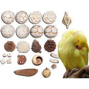 Bird Toys Interactive and Durable Play Toys for Pet Birds Parrots Cockatiels Conures Caiques Parakeet Budgies Other Parrots Breeds and Birds Breeds (Bird Toy Set 23 Pieces)