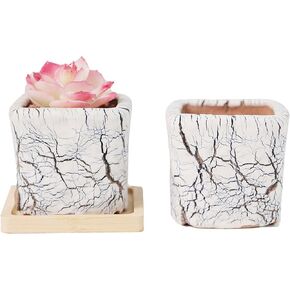 Arktiva Artisan Handmade Ceramic Planter Pots w/Drainage, 4 Inch Set of 2, Indoor Outdoor Home Patio Garden Plants Flower Succulent, Crackle-Texture Round