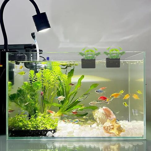 2 Pcs Aquarium Plant Holder Fish Tank Plant Holders Floating Aquatic Plant Cup Hanging Basket Rack Stand Hanger in Saudi Arabia
