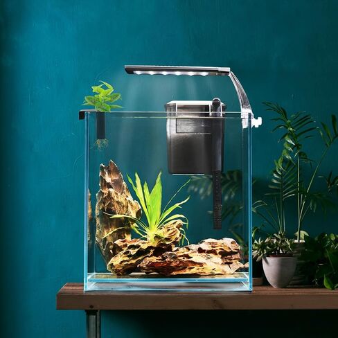 2 Pcs Aquarium Plant Holder Fish Tank Plant Holders Floating Aquatic Plant Cup Hanging Basket Rack Stand Hanger in Saudi Arabia