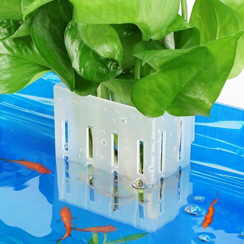حامل نباتات حوض السمك المحسن مزود بخطافات وأكواب شفط لزراعة نباتات Aquaponic وديكورات Aquascape (شبه شفافة) in Saudi Arabia