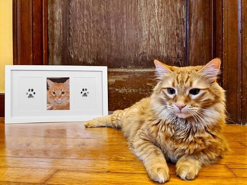 بوليوغ الخضراء | وسادة حبر بدون حبر تعمل باللمس النظيف | غير سامة، كبيرة جدًا | طقم بصمة الطفل | طقم بصمة اليد | حبر آمن للأطفال | طقم بصمة الوليد | وسادة حبر للأطفال | مخلب طباعة وسادة الطوابع للكلاب in Saudi Arabia