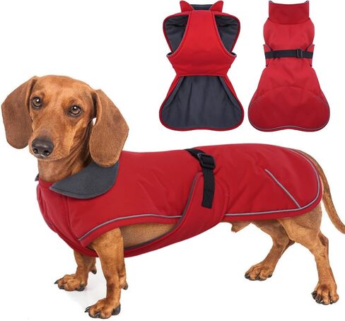 Dachshund Coat Warm Winter Dog Coat - Red, Medium - Dachshund Jacket with Fleece Lining, Waterproof Dog Coat Christmas Dachshund Snowsuit with Harness Hole and Adjustable Buckle Closure in Saudi Arabia