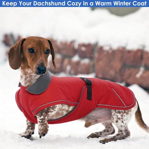 Dachshund Coat Warm Winter Dog Coat - Red, Medium - Dachshund Jacket with Fleece Lining, Waterproof Dog Coat Christmas Dachshund Snowsuit with Harness Hole and Adjustable Buckle Closure in Saudi Arabia