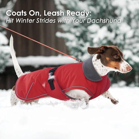 Dachshund Coat Warm Winter Dog Coat - Red, Medium - Dachshund Jacket with Fleece Lining, Waterproof Dog Coat Christmas Dachshund Snowsuit with Harness Hole and Adjustable Buckle Closure in Saudi Arabia