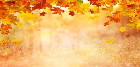 7x5ft Autumn Background Yellow Maple Leaf Blur Forest Sparkling Backdrop for Photography Children Adults Portraits Photo Studio Background in Kuwait
