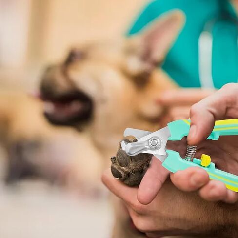 Dog & Cat Pets Pet Nail File, Dog & Cat Nail Clippers and Trimmers, Dog & Cat Nail Trimmers, Pet Nail Clipper with Safety Lock to Avoid Over Cutting, Perfect Grooming Tool in Saudi Arabia