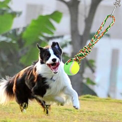 Alfie Pet - Emery Outdoor Interactive Hanging Bungee Tug Toys for Dogs to Exercise and Fun Solo Play in Kuwait