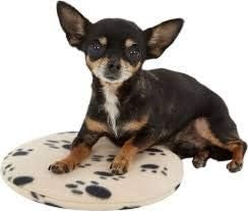 Heating Pad with Pet Bowl | Microwavable Pet Warmer Pad, Animal Heating Pads | Collapsible Bowl | 2 Pack in Saudi Arabia