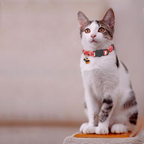 Christmas Cat Collar, Cotton 2 Pack Cat Collar with Bells, Breakaway Collars for Girl Boy Kittens, Christmas in Kuwait
