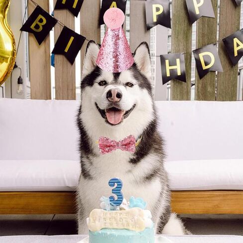 4 قطع من قبعة حفلات القطط، قبعة عيد ميلاد القطط وربطة عنق عيد الميلاد للحيوانات الأليفة، قبعة الجاز وربطة عنق بلينغ بلينغ، مجموعة طوق قابلة للفصل، عصابة رأس قابلة للتعديل للقطط الصغيرة والجرو والكلاب والقطط (الأزرق والوردي) in Kuwait