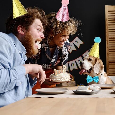 4 قطع من قبعة حفلات القطط، قبعة عيد ميلاد القطط وربطة عنق عيد الميلاد للحيوانات الأليفة، قبعة الجاز وربطة عنق بلينغ بلينغ، مجموعة طوق قابلة للفصل، عصابة رأس قابلة للتعديل للقطط الصغيرة والجرو والكلاب والقطط (الأزرق والوردي) in Kuwait