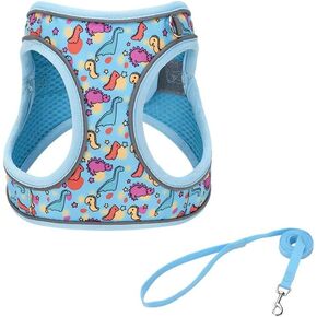 Light Purple Flower Pattern Dog Harness and Leash Set,No Escape Easy Walk Puppy Harnesses for Training Walking，Breathable Adjustable Puppy Vest for Small Medium Dogs, Cats (Light Purple, XXS)