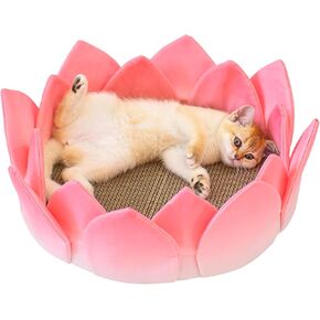 Petal's Paradise Cozy Cat Bed with Removable Cushion & Scratching Pad Large 15.75" Multi-Layer Design, Non-Slip Base, Weather-Adaptable Accessories for Cats (Petal & Scratching Board & Cushion)