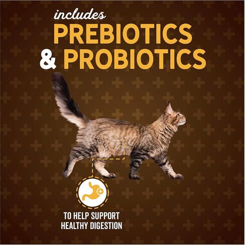 Evolve Classic Deboned Salmon, Rice and Sweet Potato Recipe Cat Food, 2.75lb in Saudi Arabia