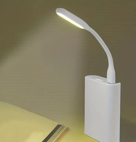 Portable USB LED Light Small Mini 2 Pack Black White Lightweight Travel Flexible Reading Notebook Laptop Desktop in Saudi Arabia