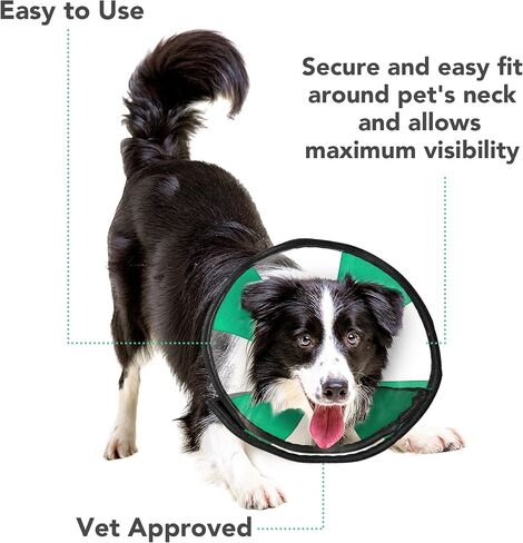 طوق ZenPet ProCone Teal للحيوانات الأليفة للكلاب والقطط - طوق مريح ناعم للتعافي قابل للتعديل لملاءمة آمنة ومخصصة - سهل للحيوانات الأليفة لتناول الطعام والشرب - يعمل مع طوق حيوانك الأليف (متوسط) in Saudi Arabia