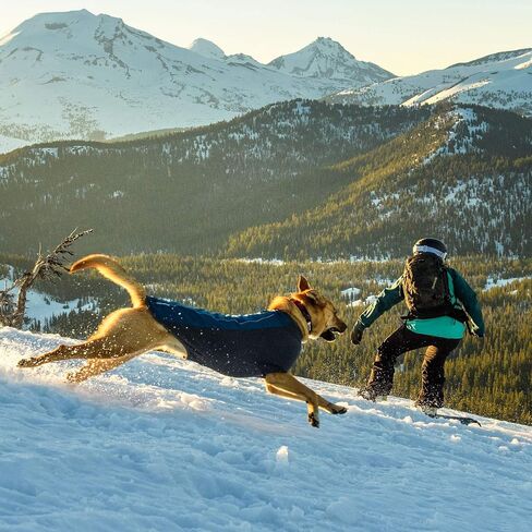Ruffwear, Cloud Chaser Breathable, Waterproof, Insulated Jacket for Dogs, Aurora Teal, Large in Saudi Arabia