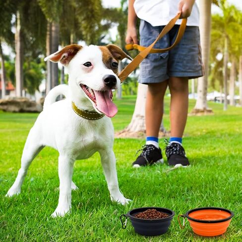 2-Pack Small Dog Travel Bowl, Collapsible Bowls for Dogs, Foldable Cat Water Bowl, Portable Pet Feeding Watering Traveling Dish (Pink & Light Blue) in Saudi Arabia