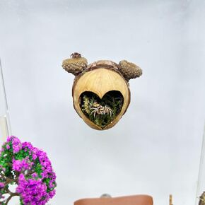 Jumping Spider Hideaway, Magnetic Jumping Spider Habitat, Spider Jumping Climbing Platform, Handmade Spider Enclosure Accessory