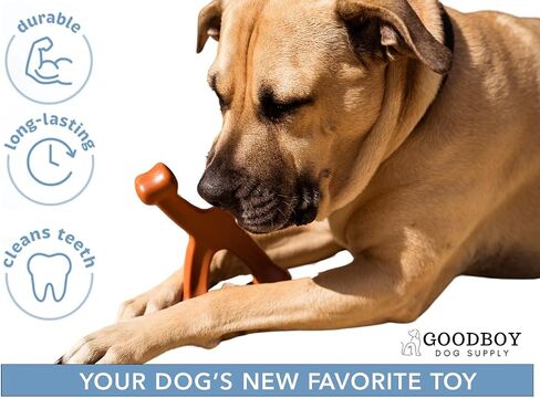 Peanut Butter & Bacon Flavored Dog Chew Toy for Aggressive Chewers - Tough Dog Bone - Heavy Duty and Durable Dog Toy - Nylon Bone Chew Toy for Medium Dogs and Large Dogs in Saudi Arabia