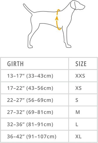 Ruffwear، سترة شتوية Vert Dog، معطف مقاوم للماء ومعزول للطقس البارد، Aurora Teal، صغير in Kuwait
