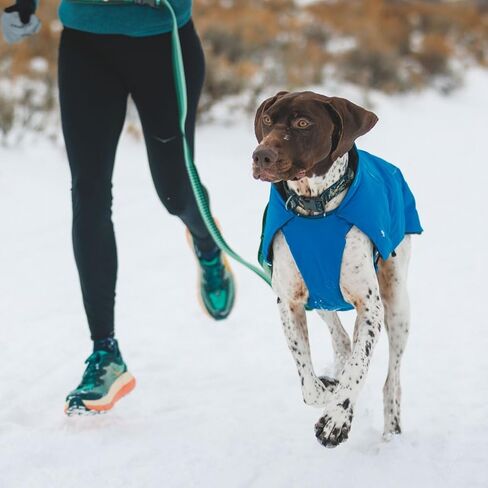 Ruffwear، سترة شتوية Vert Dog، معطف مقاوم للماء ومعزول للطقس البارد، Aurora Teal، صغير in Kuwait