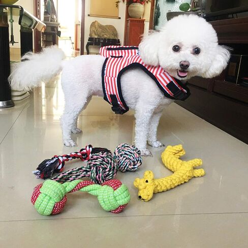 Dog Chew Toys for Medium and Large Aggressive Chewers, 5 Pack Teething Chew Toy for Puppy and Small Dogs, Indestructible Dog Rope Toys,Tug of War Dog Toy(Medium or Large Dogs) in Saudi Arabia