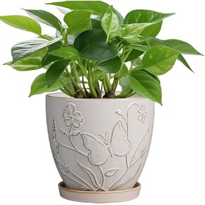 6 Inch Ceramic Plant Pot for Indoor Plants Outdoor Round Planter Flower Pot with Drainage Hole and Saucer for Home Garden Office Decor White
