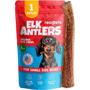 Medium Elk Antlers for Dogs (3 Pack) - Dog Antler Chews for Medium Breeds - Natural, Long-Lasting Treats for Aggressive Chewers - Naturally Shed in USA