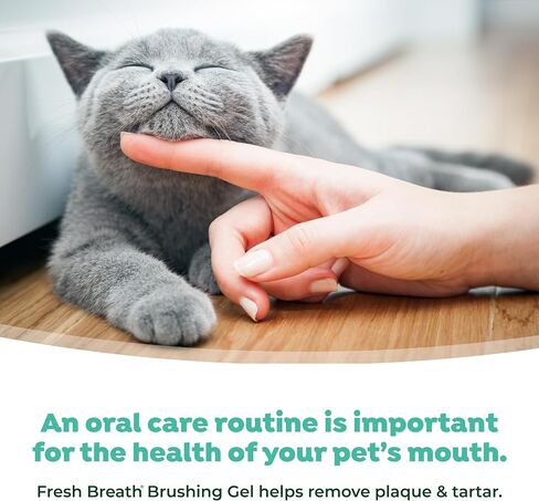 TropiClean Fresh Breath Cat Oral Care Kit | Complete Cat Toothbrush and Toothpaste Set for Plaque & Tartar Control | Bad Cat Breath Freshener Kit in Kuwait
