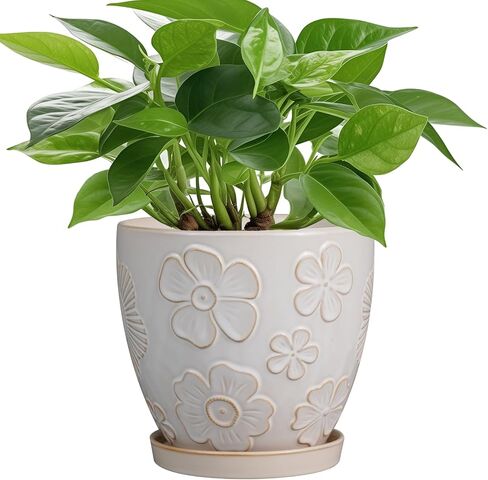 6 Inch Ceramic Plant Pot for Indoor Plants Outdoor Round Planter Flower Pot with Drainage Hole and Saucer for Home Garden Office Decor White in Saudi Arabia