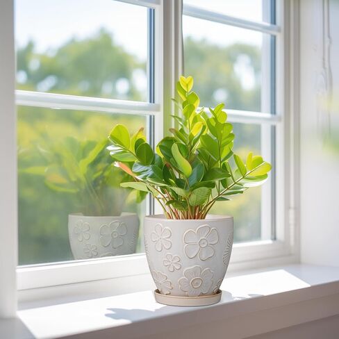 6 Inch Ceramic Plant Pot for Indoor Plants Outdoor Round Planter Flower Pot with Drainage Hole and Saucer for Home Garden Office Decor White in Saudi Arabia