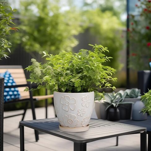 6 Inch Ceramic Plant Pot for Indoor Plants Outdoor Round Planter Flower Pot with Drainage Hole and Saucer for Home Garden Office Decor White in Saudi Arabia